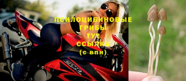 spice Лагань