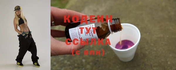 spice Лагань
