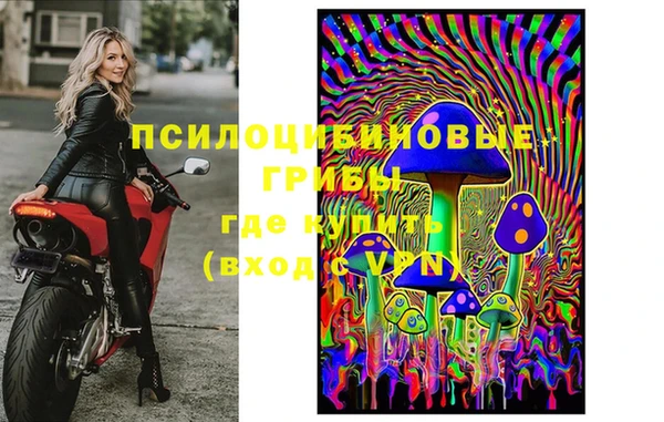 spice Лагань