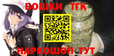 крисы Дубна