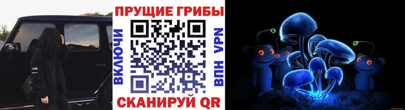 Галлюциногенные грибы Magic Shrooms  где купить   Миасс 