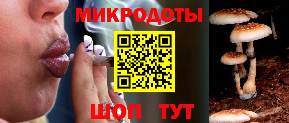 Галлюциногенные грибы Magic Shrooms  где найти наркотики  Псилоцибиновые грибы Cubensis  Миасс  Вход с VPN 